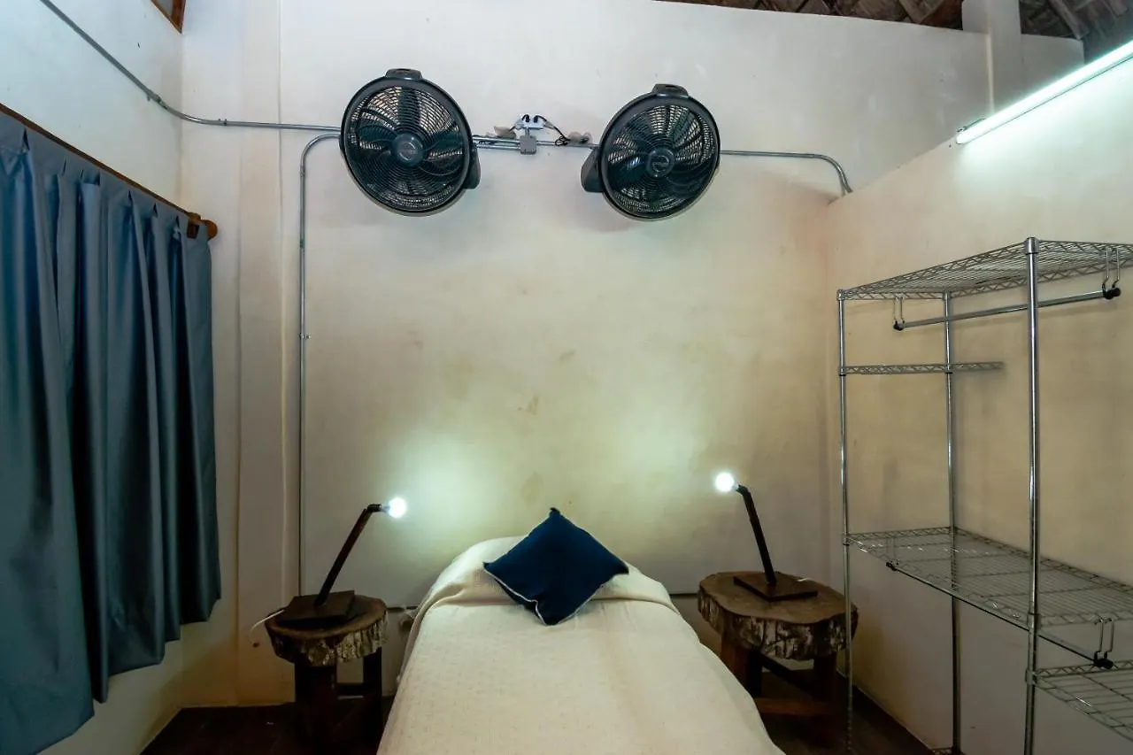 Гостевой дом Hostal Casa Madre Naturaleza Канкун