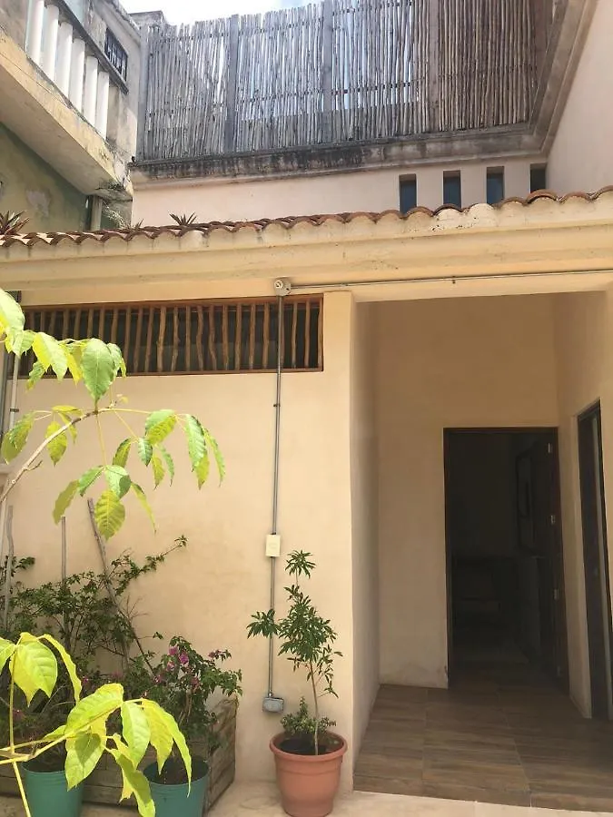Hostal Casa Madre Naturaleza Канкун Мексика