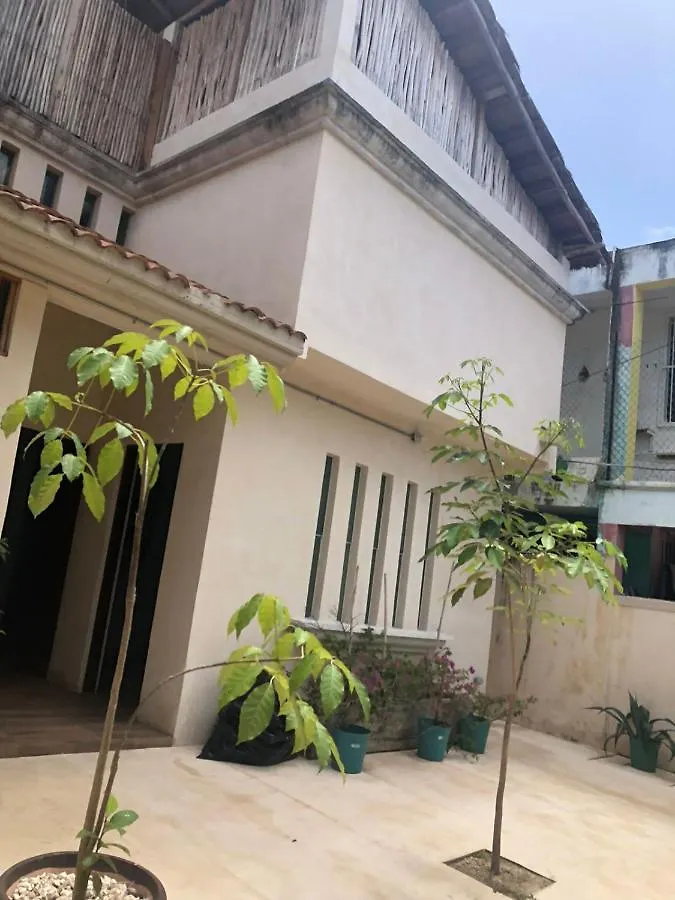 Гостевой дом Hostal Casa Madre Naturaleza Канкун